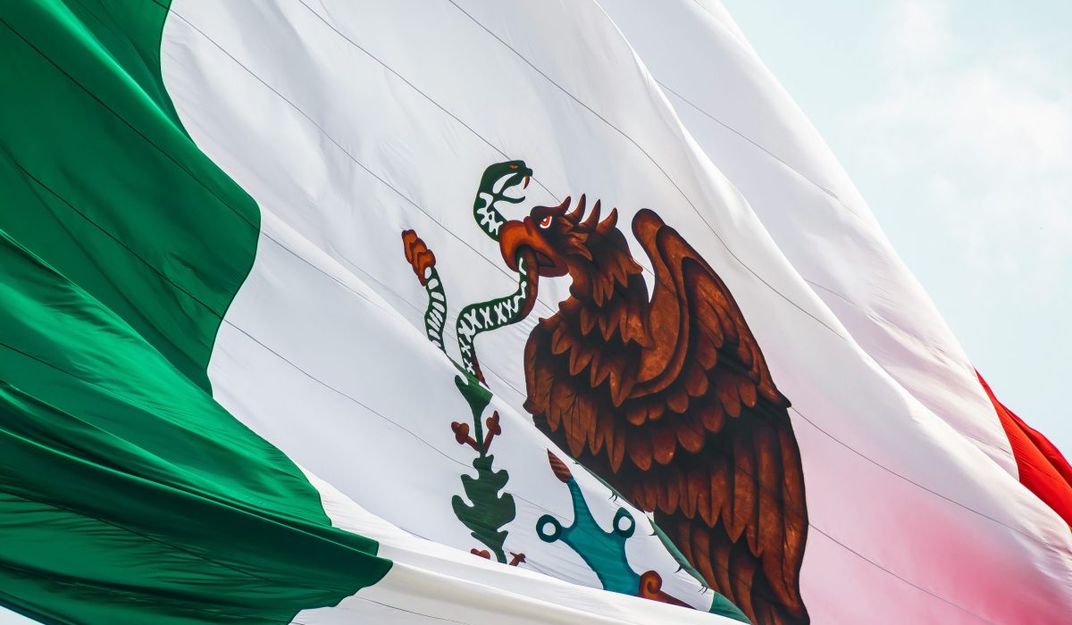jorge-aguilar-vZ9TqSm9ZsQ-unsplash (1)